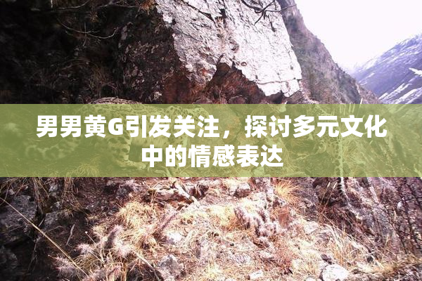 男男黄G引发关注，探讨多元文化中的情感表达
