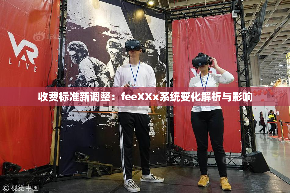 收费标准新调整：feeXXx系统变化解析与影响