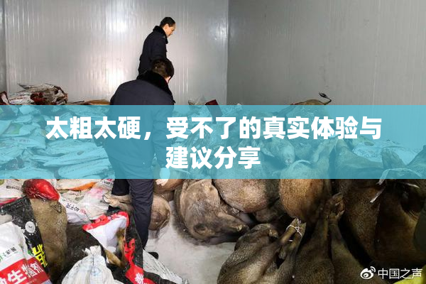 太粗太硬，受不了的真实体验与建议分享