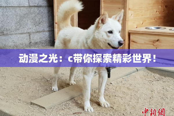 动漫之光：c带你探索精彩世界！