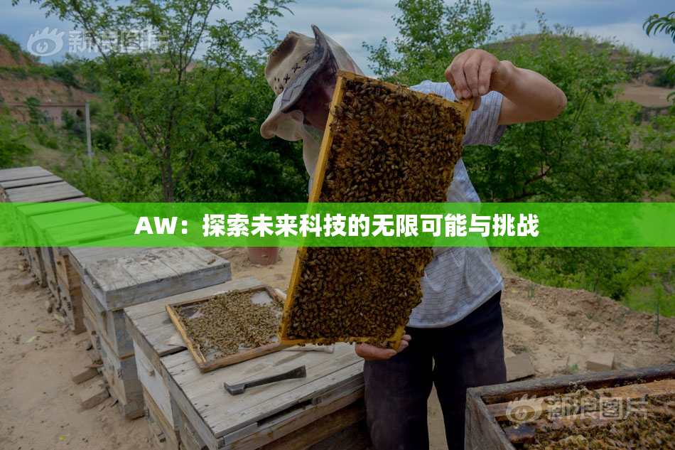 AW：探索未来科技的无限可能与挑战