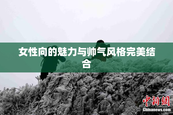 女性向的魅力与帅气风格完美结合