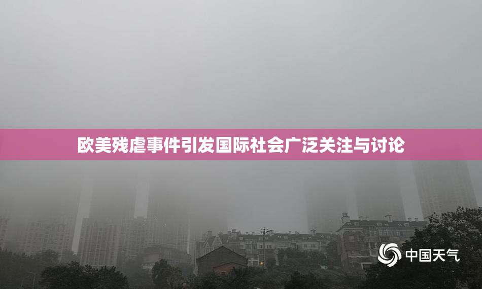 欧美残虐事件引发国际社会广泛关注与讨论