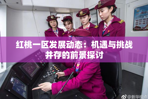 红桃一区发展动态：机遇与挑战并存的前景探讨