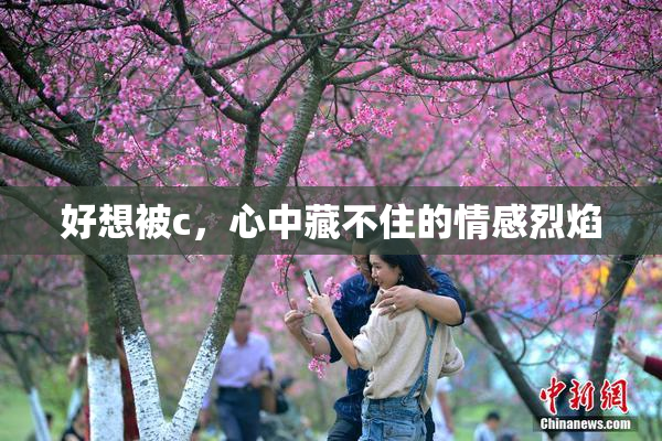 好想被c，心中藏不住的情感烈焰