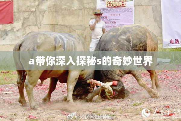 a带你深入探秘s的奇妙世界