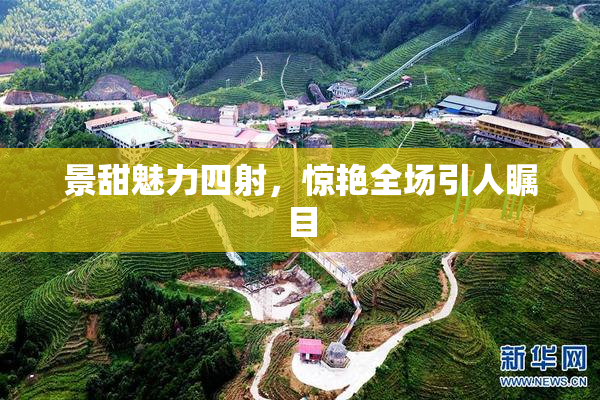 景甜魅力四射，惊艳全场引人瞩目