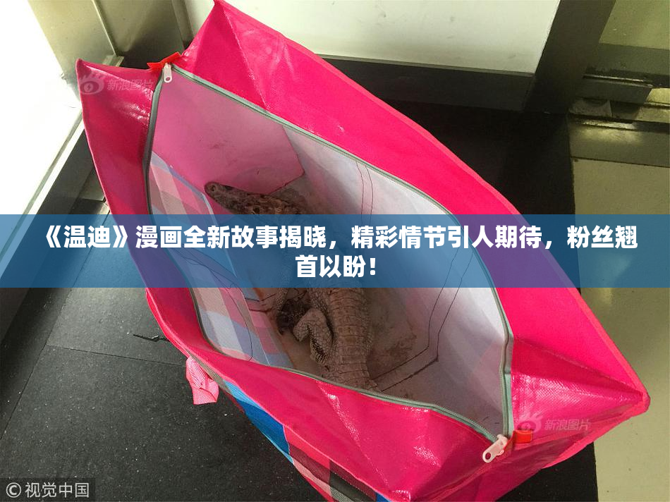 《温迪》漫画全新故事揭晓，精彩情节引人期待，粉丝翘首以盼！