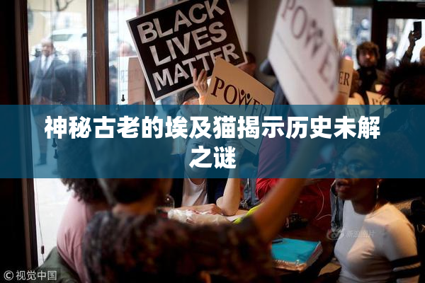 神秘古老的埃及猫揭示历史未解之谜