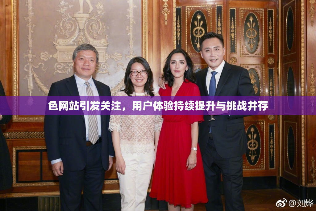 色网站引发关注，用户体验持续提升与挑战并存