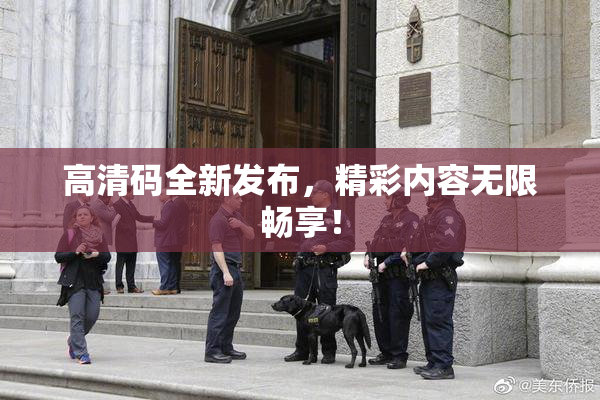高清码全新发布，精彩内容无限畅享！