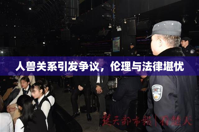 人兽关系引发争议，伦理与法律堪忧