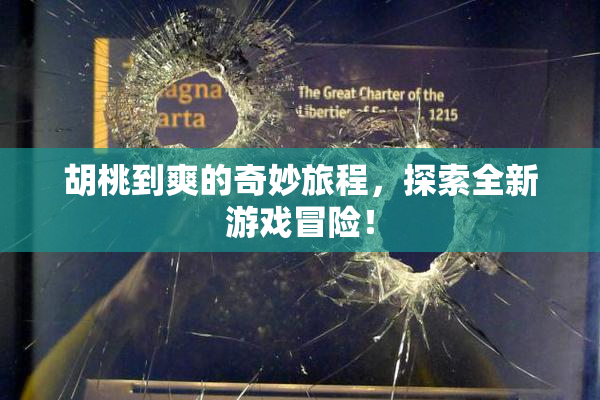 胡桃到爽的奇妙旅程，探索全新游戏冒险！