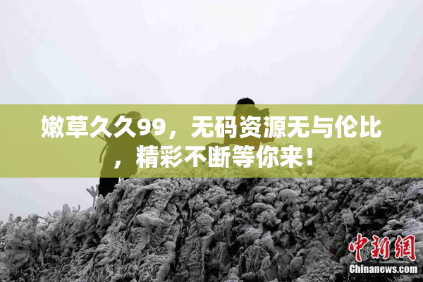 嫩草久久99，无码资源无与伦比，精彩不断等你来！