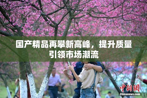 国产精品再攀新高峰，提升质量引领市场潮流