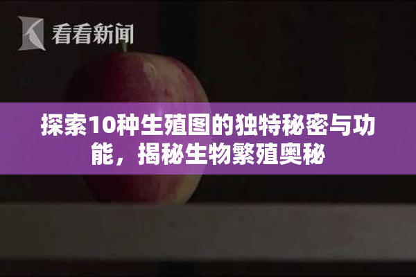 探索10种生殖图的独特秘密与功能，揭秘生物繁殖奥秘