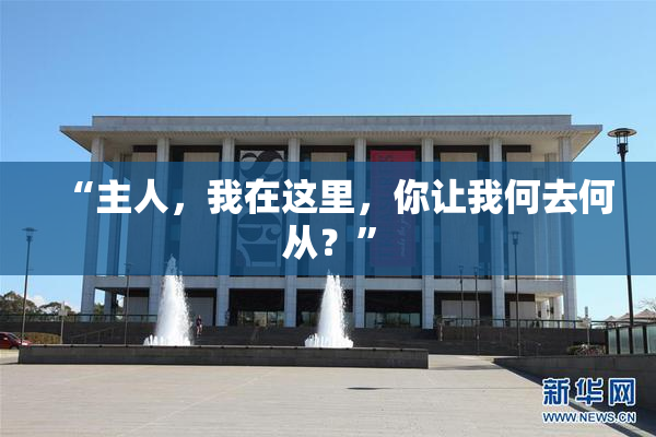 “主人，我在这里，你让我何去何从？”