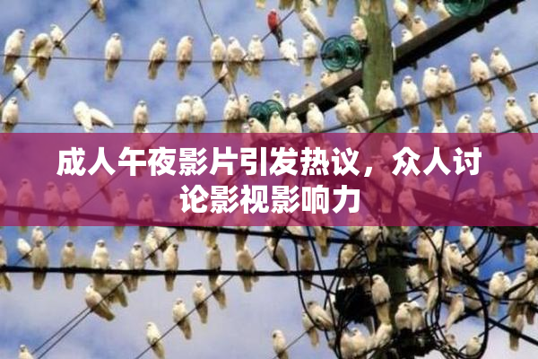 成人午夜影片引发热议，众人讨论影视影响力