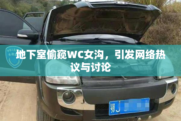 地下室偷窥WC女沟，引发网络热议与讨论