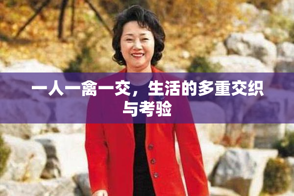 一人一禽一交，生活的多重交织与考验