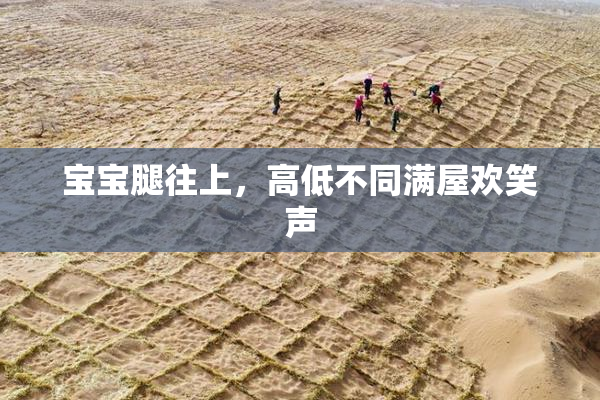 宝宝腿往上，高低不同满屋欢笑声