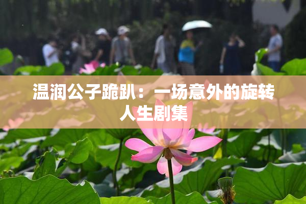 温润公子跪趴：一场意外的旋转人生剧集