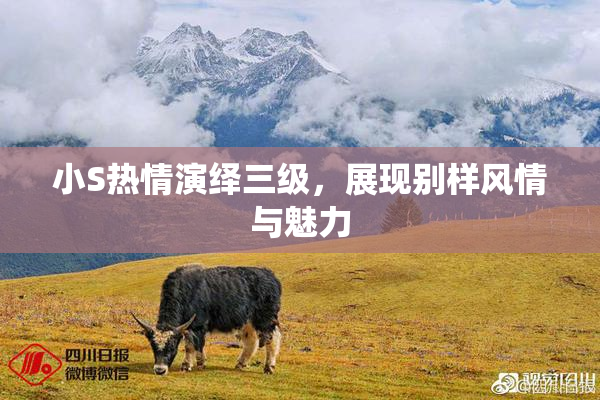 小S热情演绎三级，展现别样风情与魅力