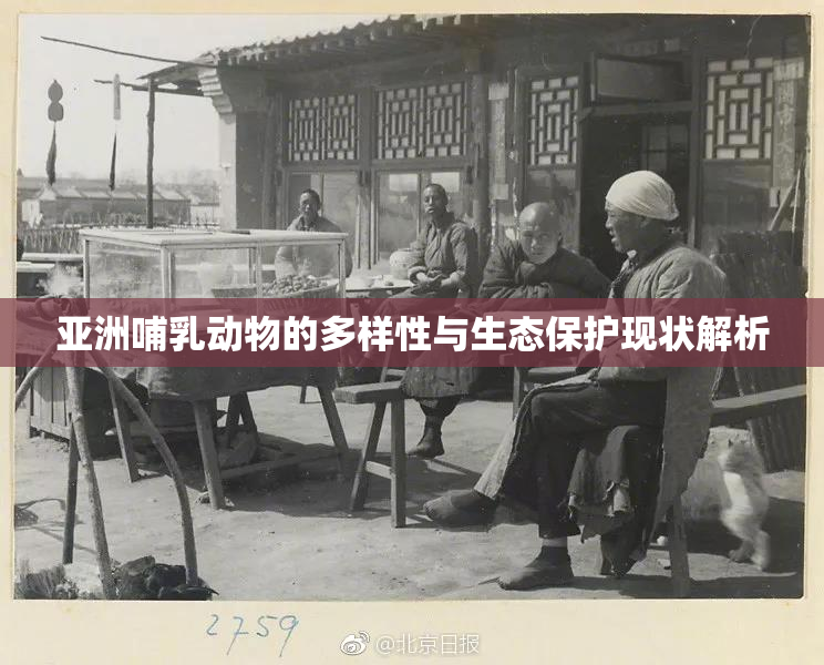 亚洲哺乳动物的多样性与生态保护现状解析