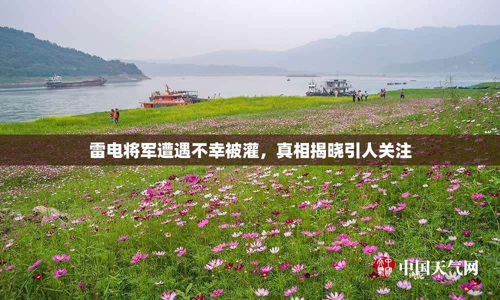 雷电将军遭遇不幸被灌，真相揭晓引人关注