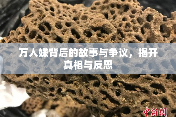 万人嫌背后的故事与争议，揭开真相与反思