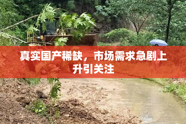 真实国产稀缺，市场需求急剧上升引关注