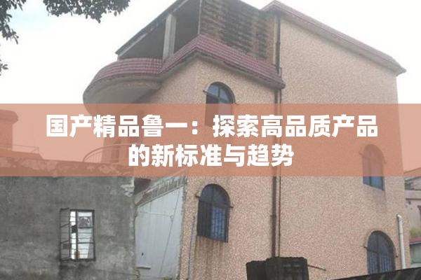 国产精品鲁一：探索高品质产品的新标准与趋势