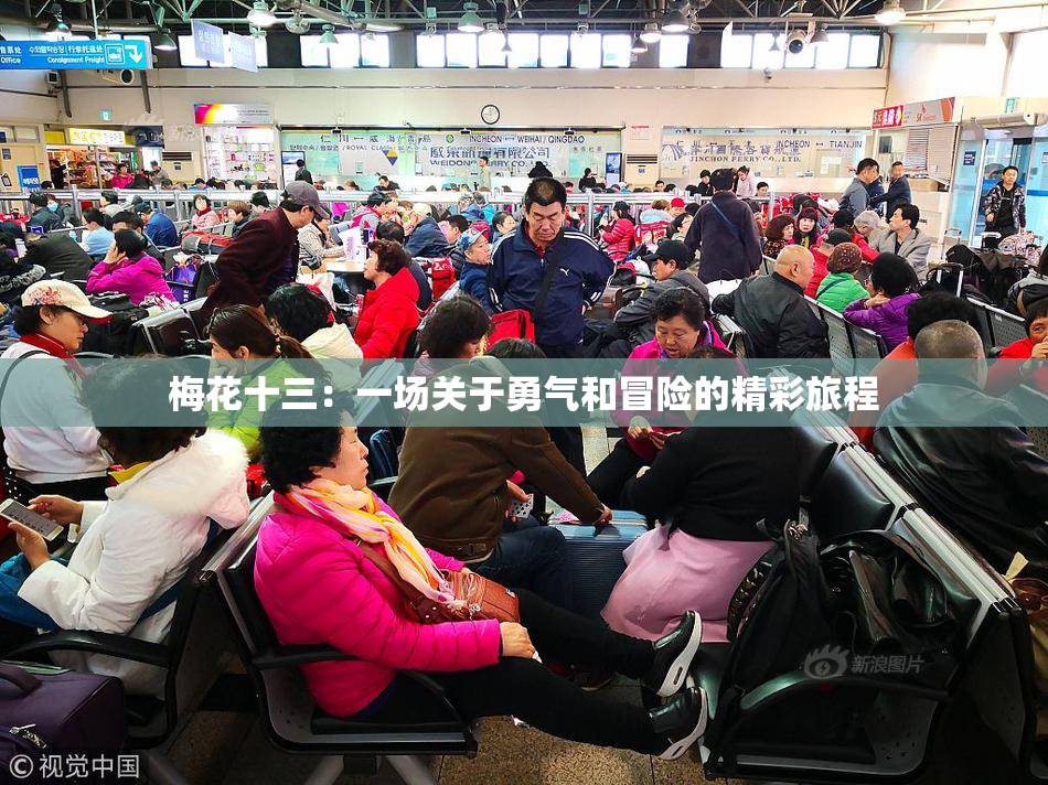 梅花十三：一场关于勇气和冒险的精彩旅程