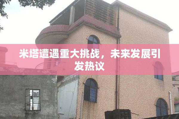 米塔遭遇重大挑战，未来发展引发热议