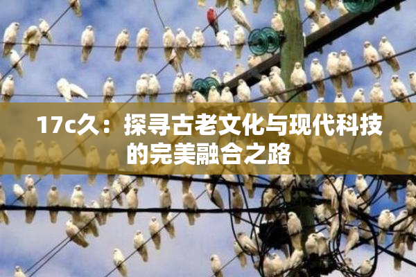 17c久：探寻古老文化与现代科技的完美融合之路