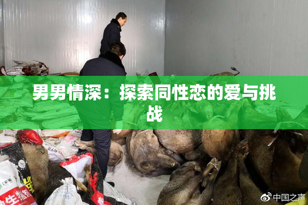 男男情深：探索同性恋的爱与挑战