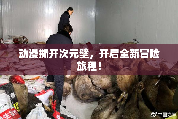 动漫撕开次元壁，开启全新冒险旅程！
