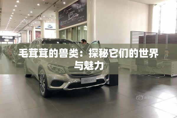 毛茸茸的兽类：探秘它们的世界与魅力