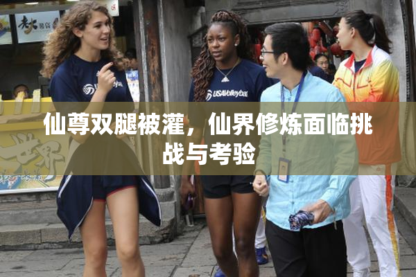仙尊双腿被灌，仙界修炼面临挑战与考验