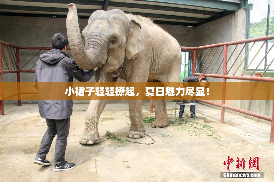 小裙子轻轻撩起，夏日魅力尽显！