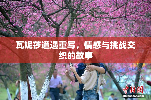 瓦妮莎遭遇重写，情感与挑战交织的故事