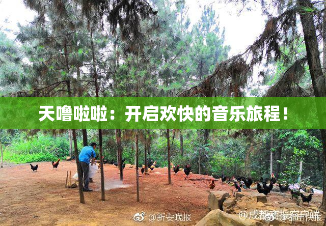 天噜啦啦：开启欢快的音乐旅程！