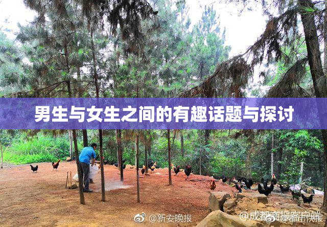 男生与女生之间的有趣话题与探讨
