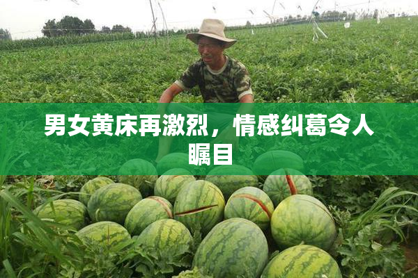 男女黄床再激烈，情感纠葛令人瞩目