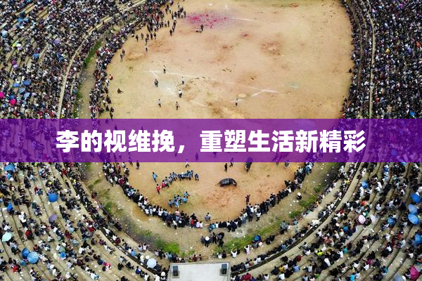 李的视维挽，重塑生活新精彩