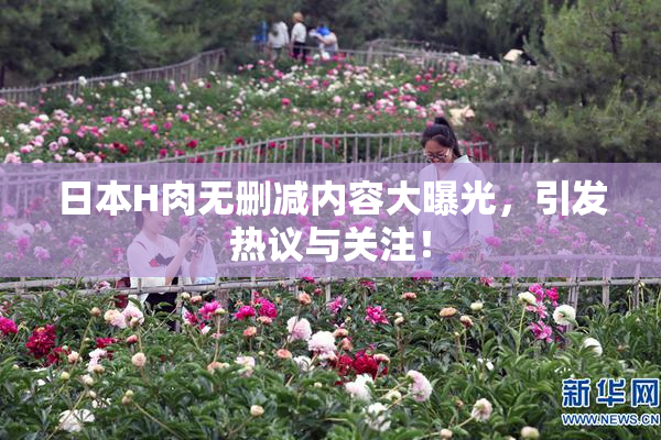 日本H肉无删减内容大曝光，引发热议与关注！