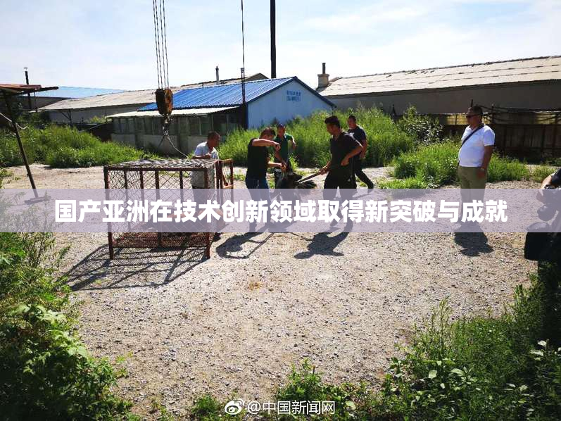 国产亚洲在技术创新领域取得新突破与成就