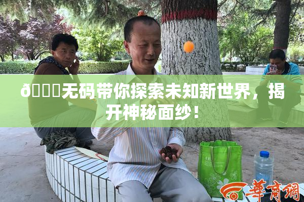 🔞无码带你探索未知新世界，揭开神秘面纱！
