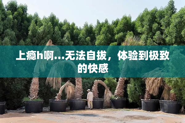 上瘾h啊…无法自拔，体验到极致的快感
