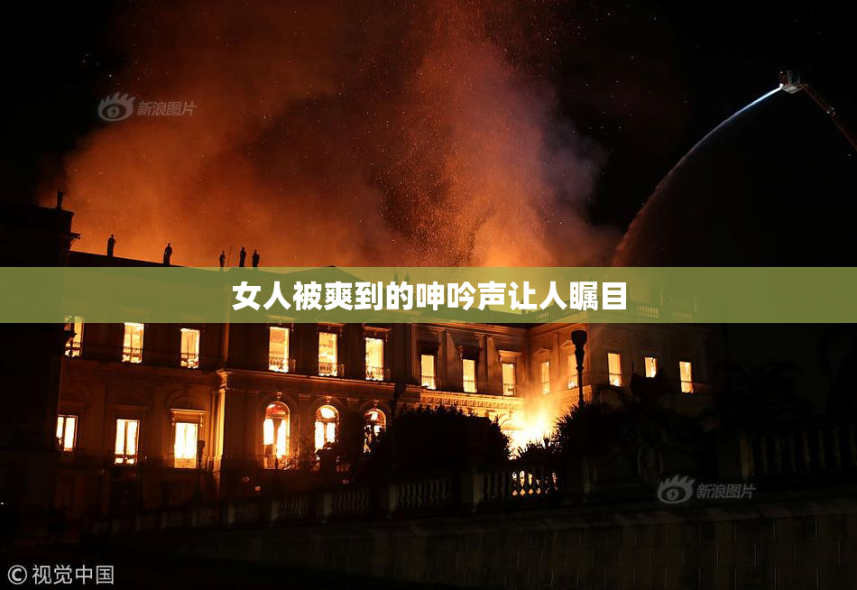 女人被爽到的呻吟声让人瞩目